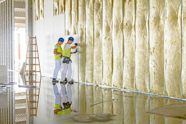 Best Insulation Maintenance and Repair in Pemberwick, CT
